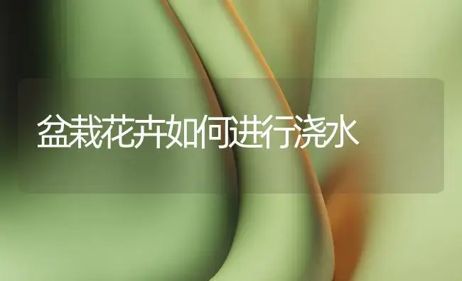 园林树木病虫害防治四法 | 植物病虫害