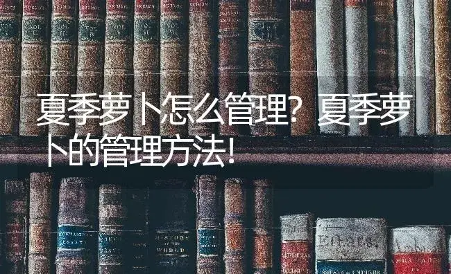 夏季萝卜怎么管理？夏季萝卜的管理方法！ | 蔬菜种植