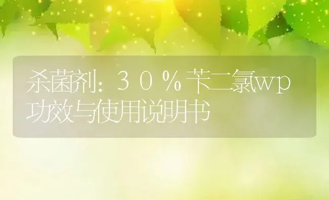 杀菌剂：30%苄二氯wp | 适用防治对象及农作物使用方法说明书 | 植物农药