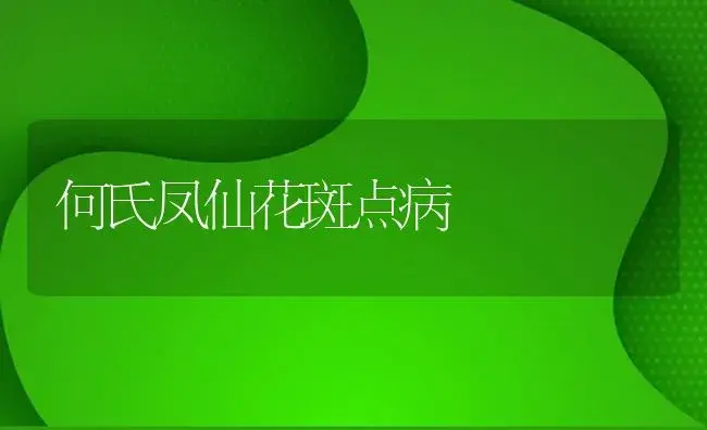 何氏凤仙花斑点病 | 植物病虫害