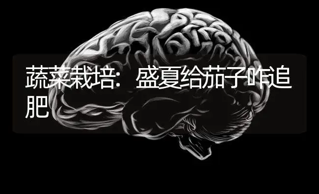 蔬菜栽培:盛夏给茄子咋追肥 | 蔬菜种植