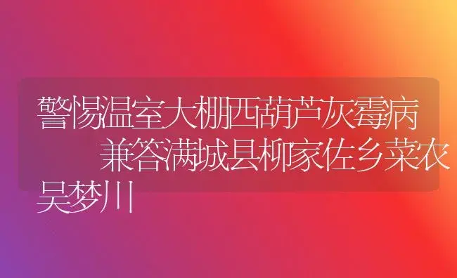 警惕温室大棚西葫芦灰霉病――兼答满城县柳家佐乡菜农吴梦川 | 植物病虫害