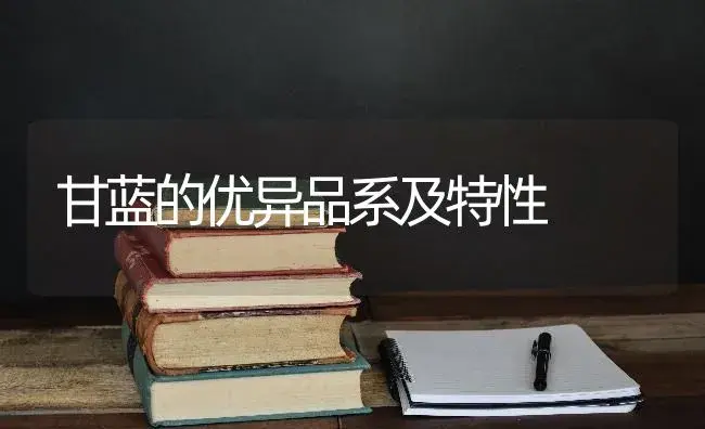 甘蓝的优异品系及特性 | 蔬菜种植