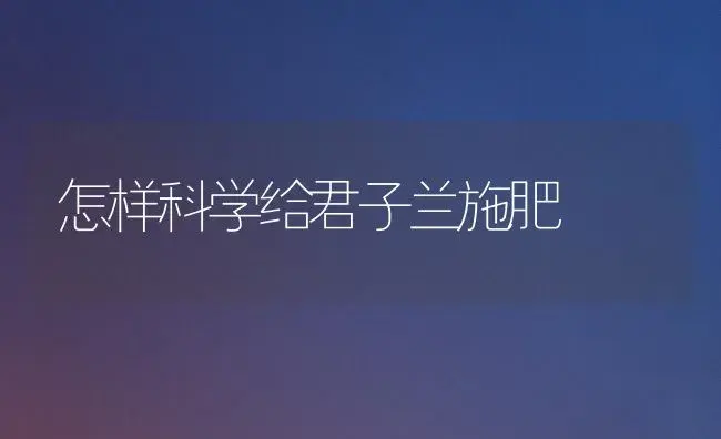 怎样科学给君子兰施肥 | 植物肥料