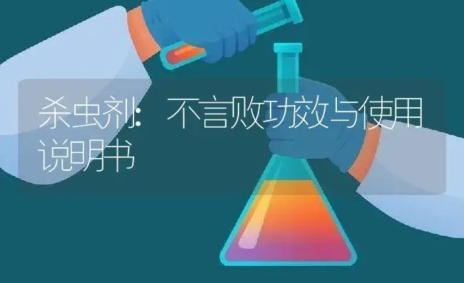 杀虫剂：不言败 | 适用防治对象及农作物使用方法说明书 | 植物农药