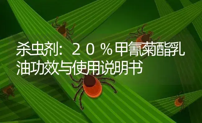 杀虫剂：20%甲氰菊酯乳油 | 适用防治对象及农作物使用方法说明书 | 植物农药