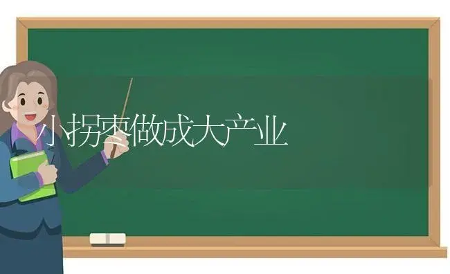 小拐枣做成大产业 | 蔬菜种植