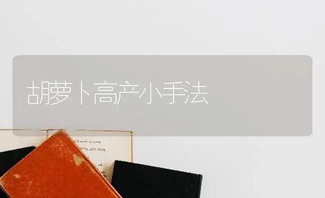 胡萝卜高产小手法 | 蔬菜种植
