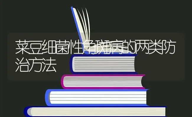 菜豆细菌性角斑病的两类防治方法 | 蔬菜种植