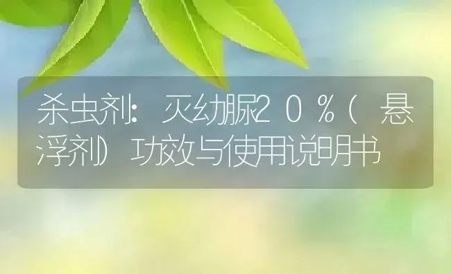 杀虫剂：灭幼脲20%(悬浮剂) | 适用防治对象及农作物使用方法说明书 | 植物农药