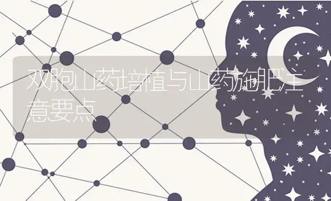 双胞山药培植与山药施肥注意要点 | 蔬菜种植
