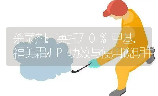 杀菌剂：英托70%甲基.福美霜WP | 适用防治对象及农作物使用方法说明书 | 植物农药