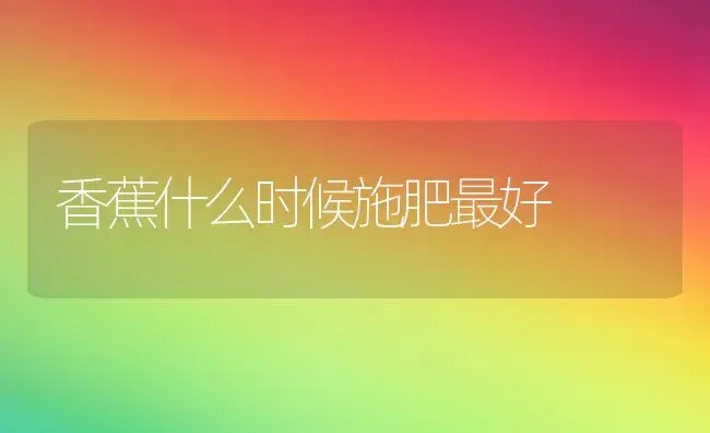 香蕉什么时候施肥最好 | 植物肥料