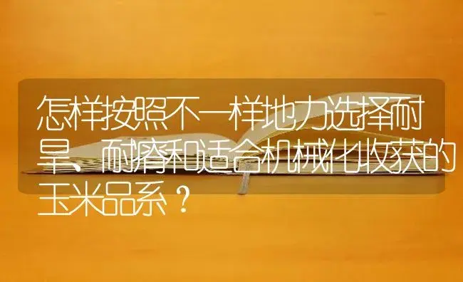 怎样按照不一样地力选择耐旱、耐瘠和适合机械化收获的玉米品系？ | 蔬菜种植