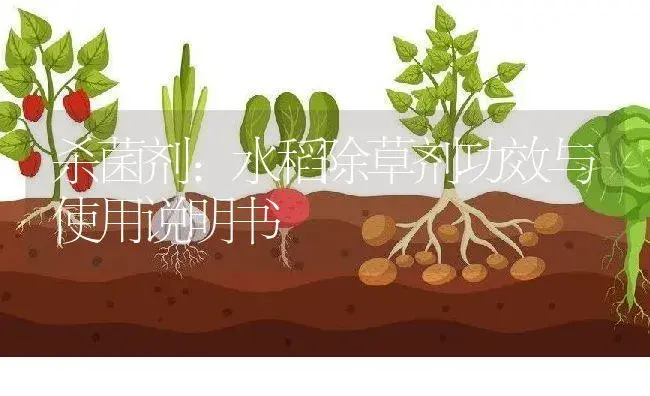 杀菌剂：水稻除草剂 | 适用防治对象及农作物使用方法说明书 | 植物农药