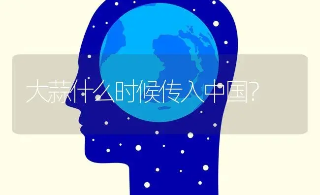 大蒜什么时候传入中国？ | 蔬菜种植