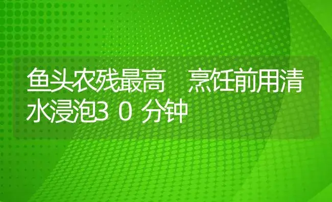 鱼头农残最高 烹饪前用清水浸泡30分钟 | 植物病虫害