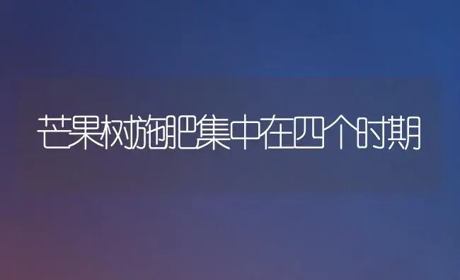 芒果树施肥集中在四个时期 | 植物肥料