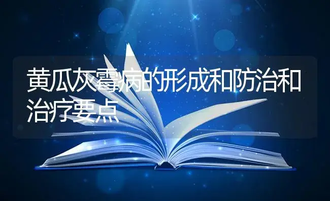 黄瓜灰霉病的形成和防治和治疗要点 | 蔬菜种植