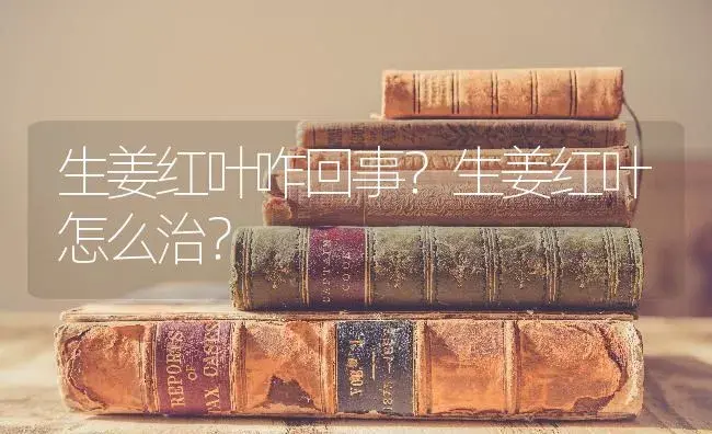 生姜红叶咋回事？生姜红叶怎么治？ | 蔬菜种植