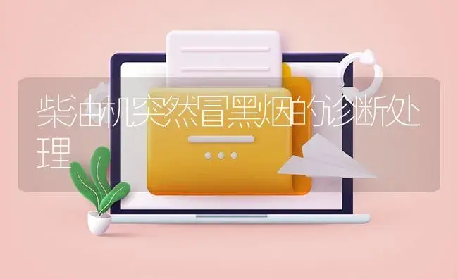 柴油机突然冒黑烟的诊断处理 | 农资农机