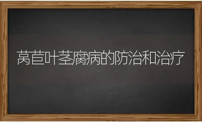 莴苣叶茎腐病的防治和治疗 | 蔬菜种植