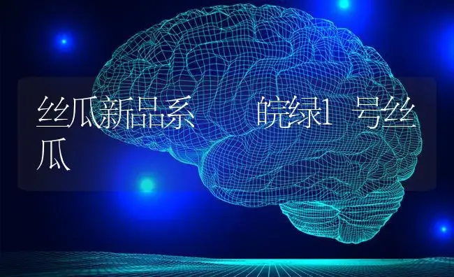 丝瓜新品系――皖绿1号丝瓜 | 蔬菜种植