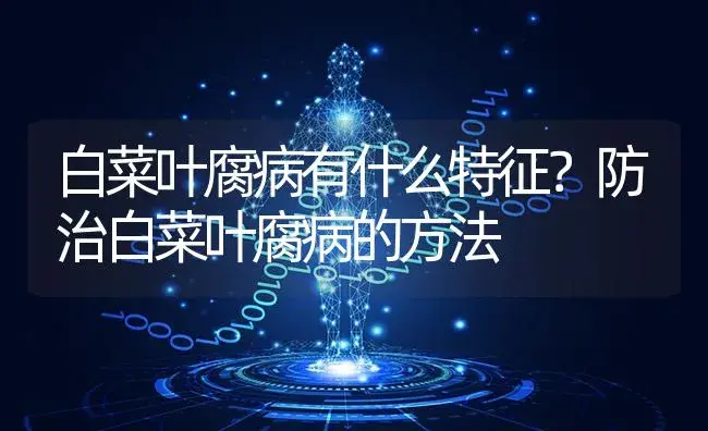 白菜叶腐病有什么特征？防治白菜叶腐病的方法 | 蔬菜种植