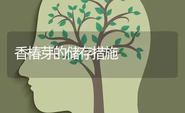 香椿芽的储存措施 | 蔬菜种植