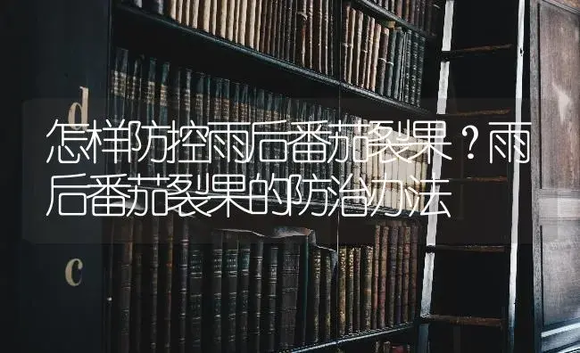 怎样防控雨后番茄裂果？雨后番茄裂果的防治办法 | 蔬菜种植