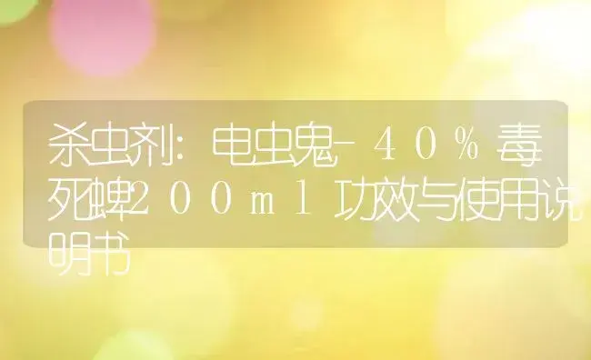 杀虫剂：电虫鬼-40%毒死蜱200ml | 适用防治对象及农作物使用方法说明书 | 植物农药