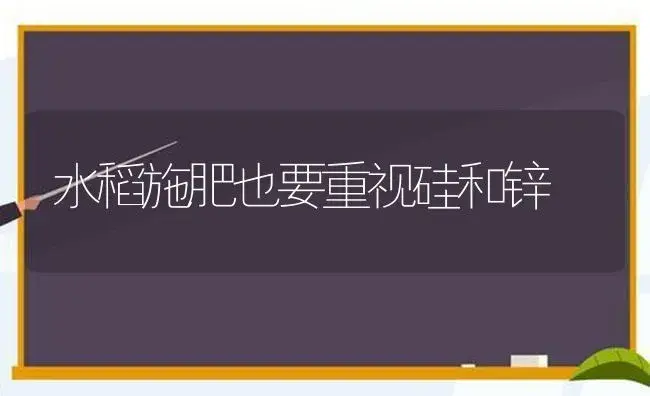 水稻施肥也要重视硅和锌 | 植物肥料