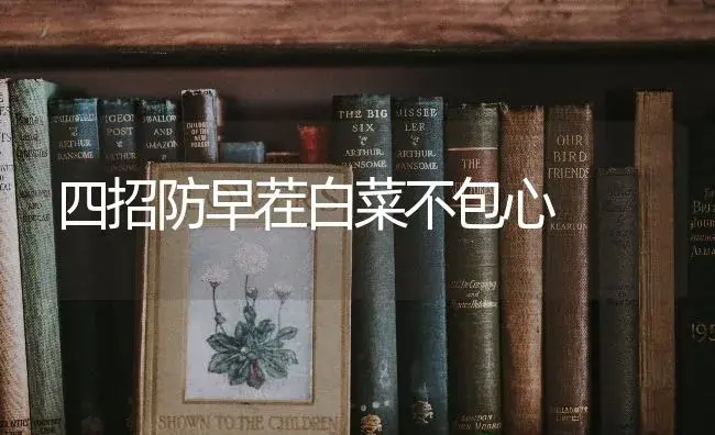 四招防早茬白菜不包心　 | 蔬菜种植