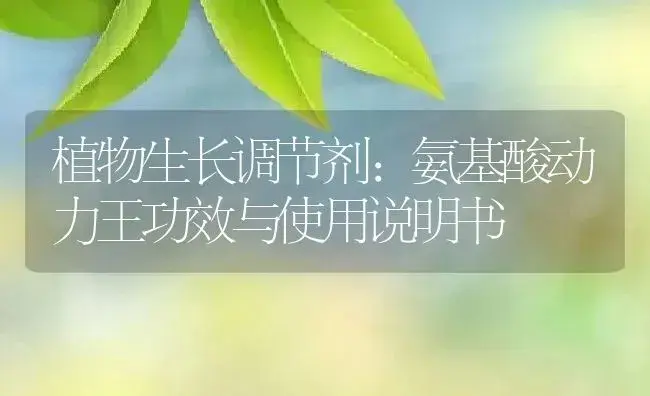 植物生长调节剂：氨基酸动力王 | 适用防治对象及农作物使用方法说明书 | 植物农药