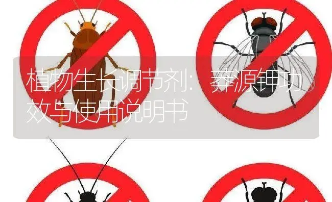杀菌剂：百草枯 | 适用防治对象及农作物使用方法说明书 | 植物农药