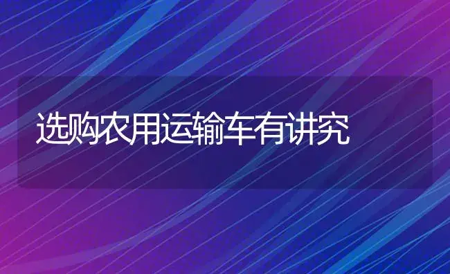 选购农用运输车有讲究 | 农资农机