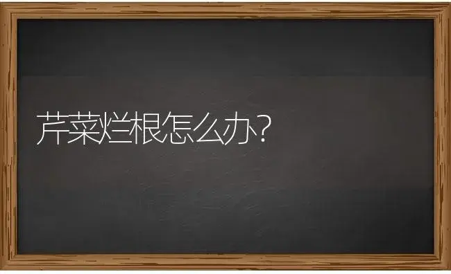 温室棚室熏烟防治和治疗病虫害的正确对策 | 蔬菜种植