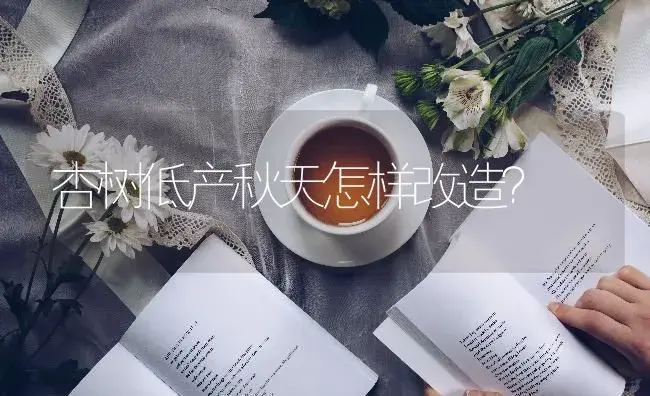 杏树低产秋天怎样改造？ | 蔬菜种植