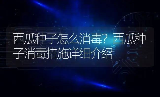 西瓜种子怎么消毒？西瓜种子消毒措施详细介绍 | 蔬菜种植