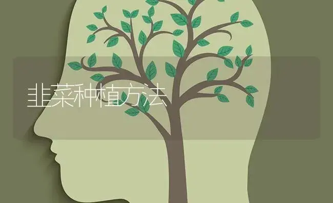 韭菜种植方法 | 蔬菜种植