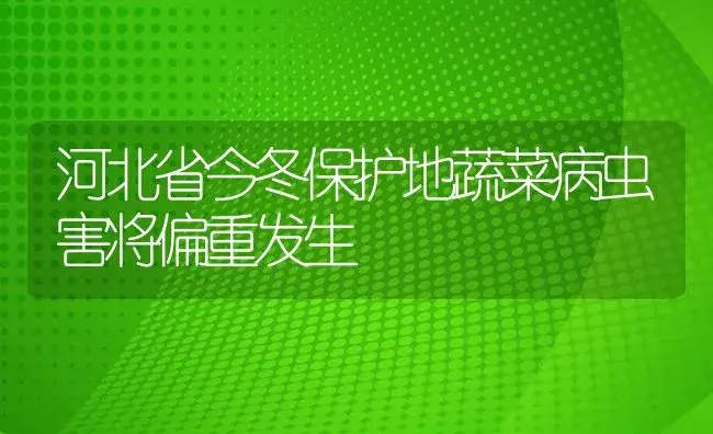 河北省今冬保护地蔬菜病虫害将偏重发生 | 植物病虫害