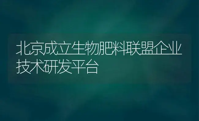 北京成立生物肥料联盟企业技术研发平台 | 植物肥料