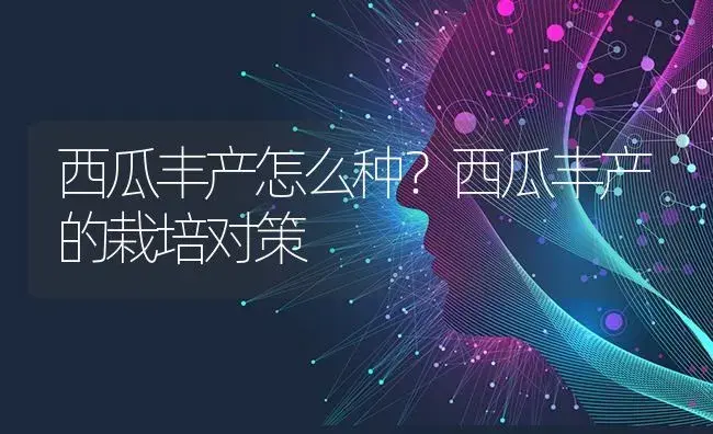 西瓜丰产怎么种？西瓜丰产的栽培对策 | 蔬菜种植