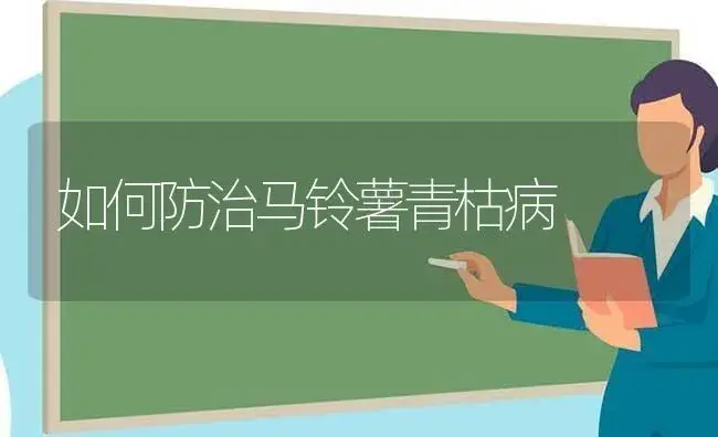 如何防治马铃薯青枯病 | 植物病虫害