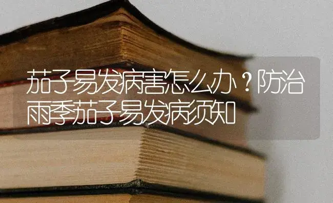 茄子易发病害怎么办？防治雨季茄子易发病须知 | 蔬菜种植