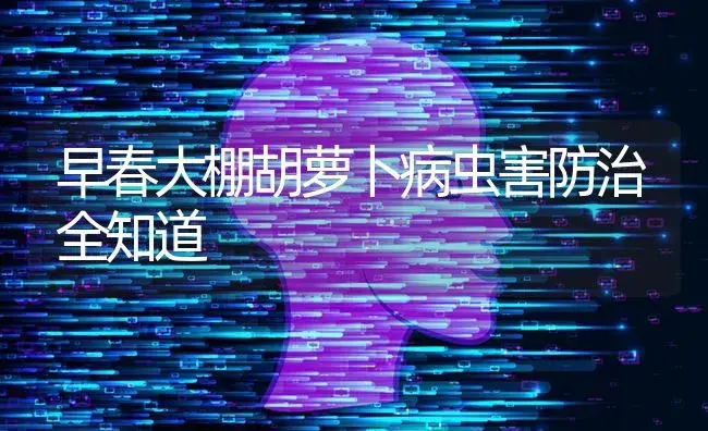 早春大棚胡萝卜病虫害防治全知道 | 蔬菜种植