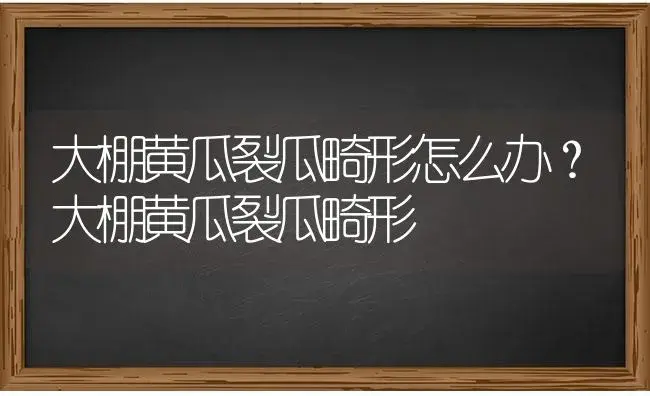 大棚黄瓜裂瓜畸形怎么办？大棚黄瓜裂瓜畸形 | 蔬菜种植