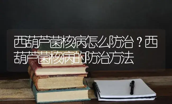 西葫芦菌核病怎么防治？西葫芦菌核病的防治方法 | 蔬菜种植