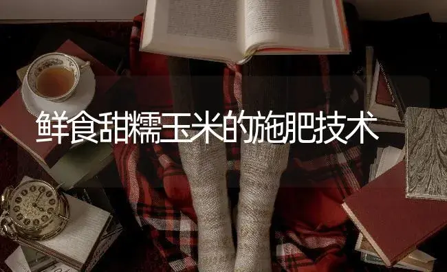 鲜食甜糯玉米的施肥技术 | 蔬菜种植