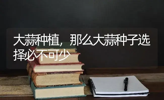 大蒜种植，那么大蒜种子选择必不可少 | 蔬菜种植